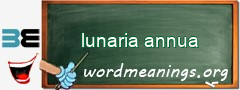 WordMeaning blackboard for lunaria annua